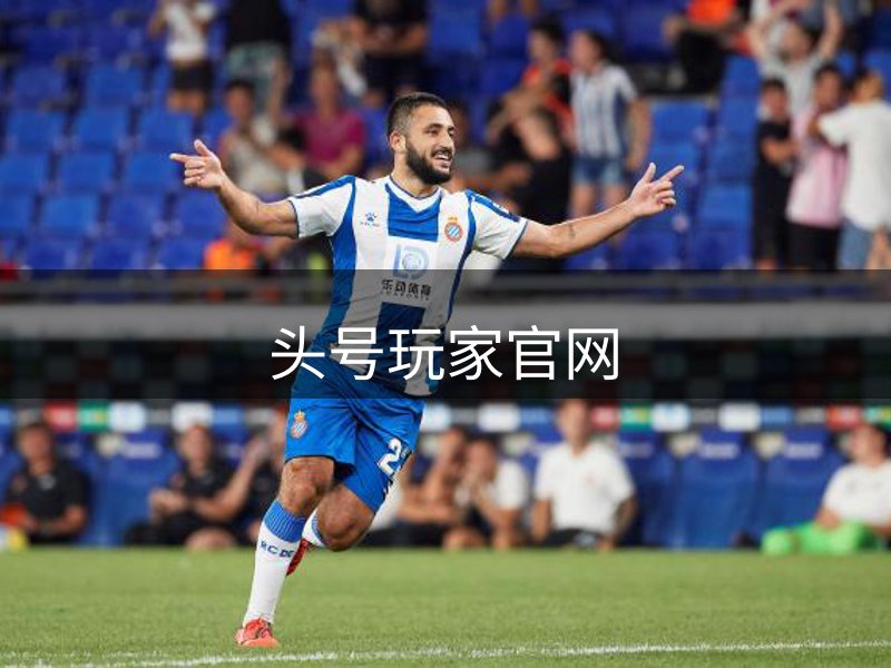 网站介绍